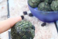 Energizing Spirulina Protein Balls (Gluten-Free)