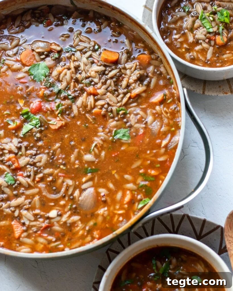 26 Cozy Vegan Dinners to Warm Your Winter Nights 17 Black Lentil and Orzo Stew