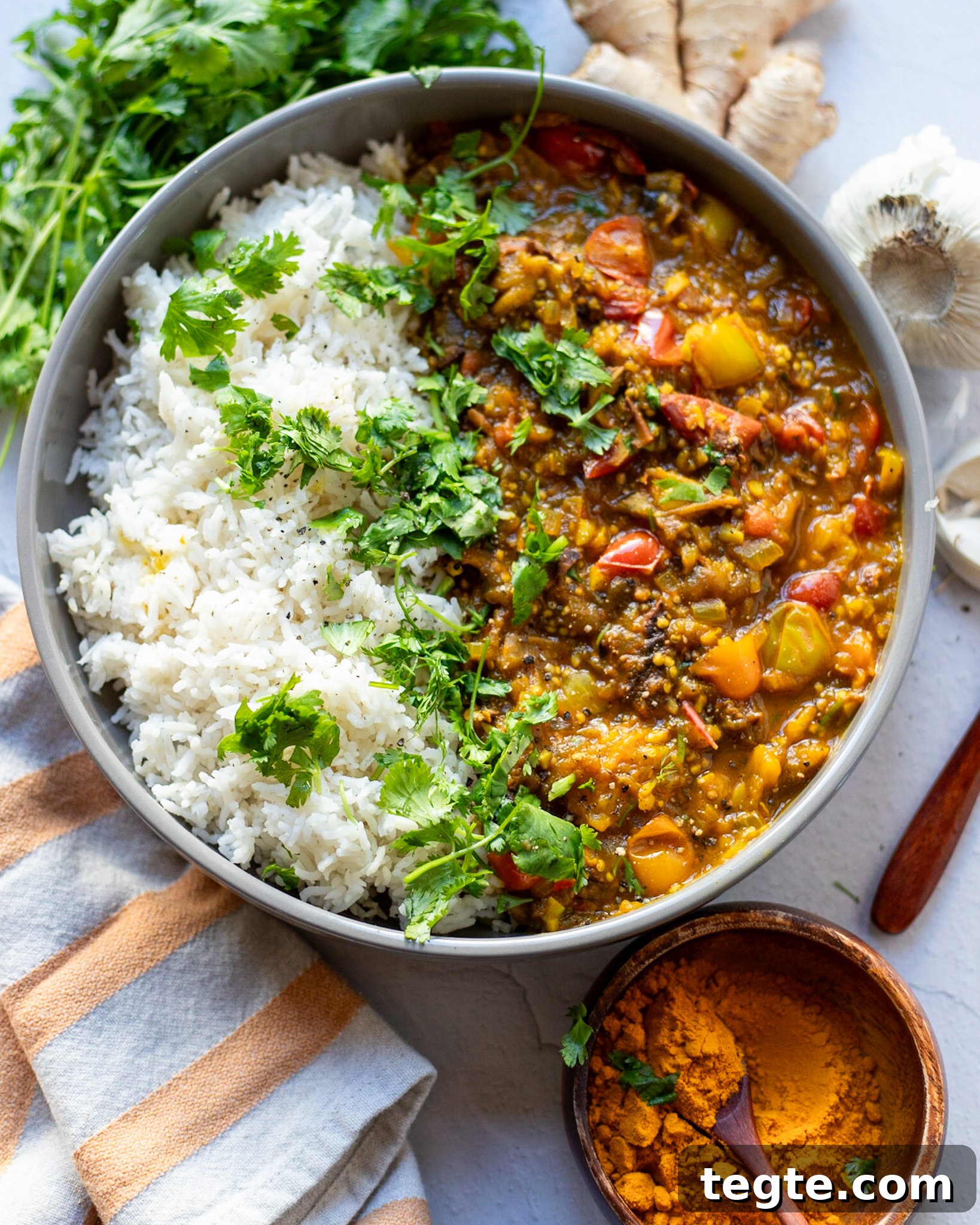 26 Cozy Vegan Dinners to Warm Your Winter Nights 27 overhead view of a bowl with vegan baingan bharta curry with rice and cilantro.