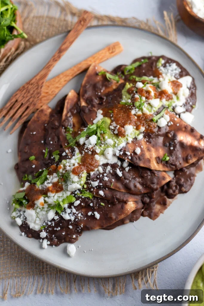 26 Cozy Vegan Dinners to Warm Your Winter Nights 7 image Black Bean Enfrijoladas