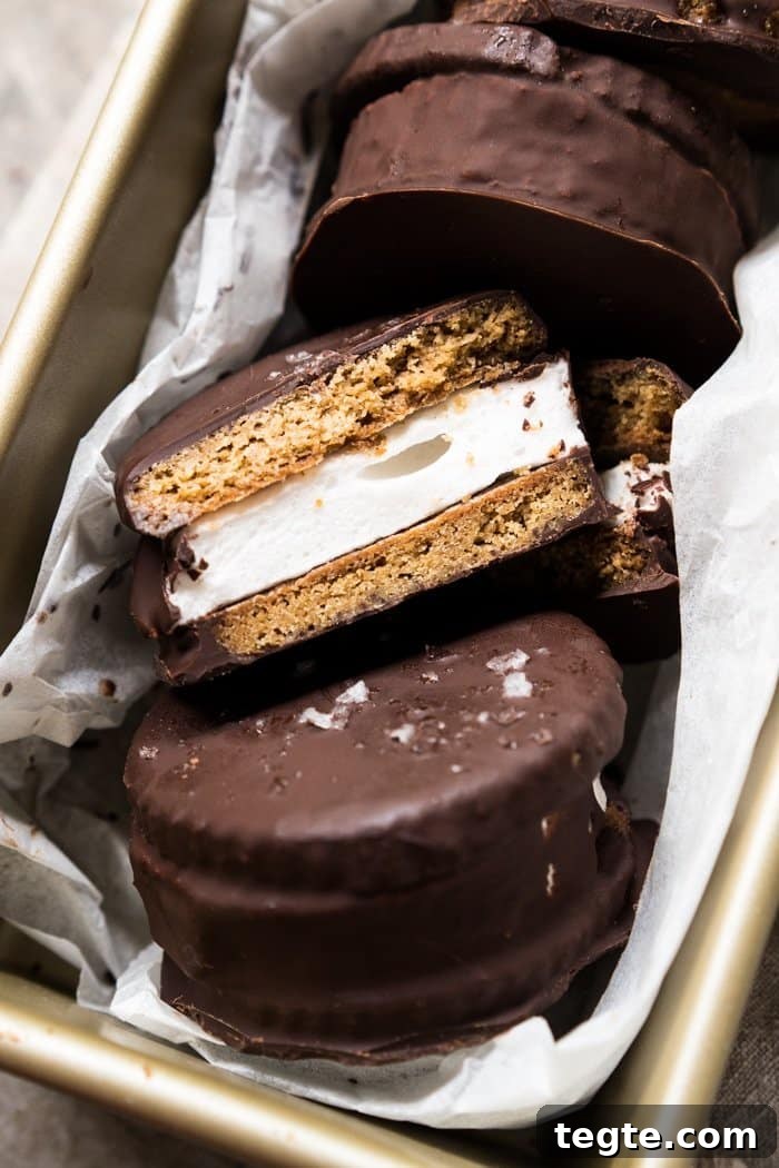 Keto S'mores Recipe: Low-Carb Campfire Treat recipe 3 Gluten Free & Keto Moon Pies (i.e. Wagon Wheels or S'mores Cookies!)