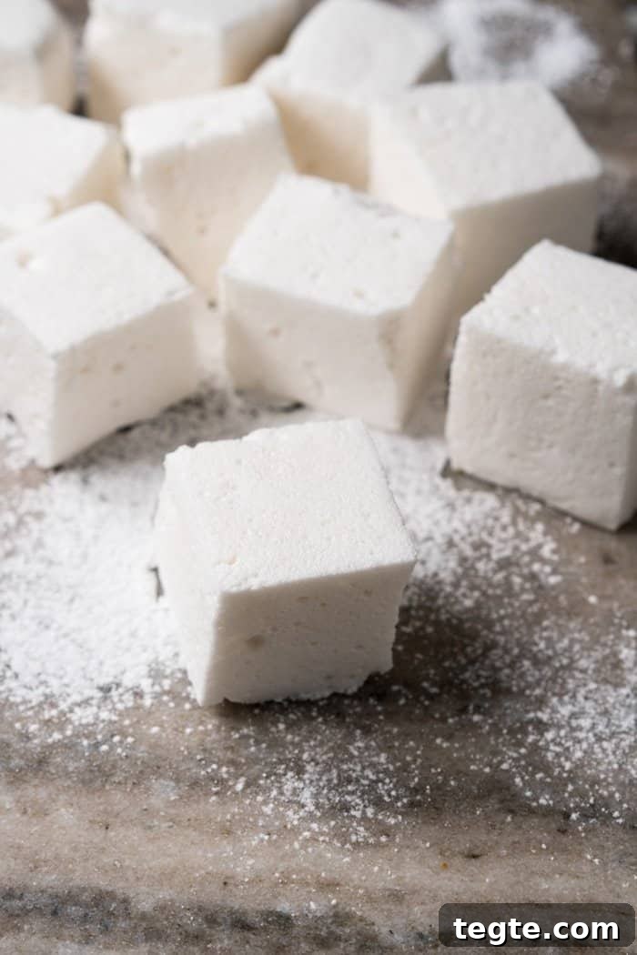 Keto S'mores Recipe: Low-Carb Campfire Treat recipe 5 Dusted keto marshmallows on marble