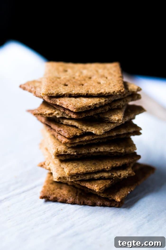 Keto S'mores Recipe: Low-Carb Campfire Treat recipe 6 A pile of Keto Graham crackers with a black background