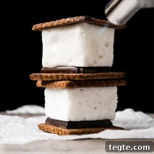 Keto S'mores Recipe: Low-Carb Campfire Treat recipe 7 Melting a keto s'more with a torch