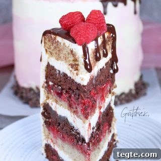 Raspberry Dream Cake
