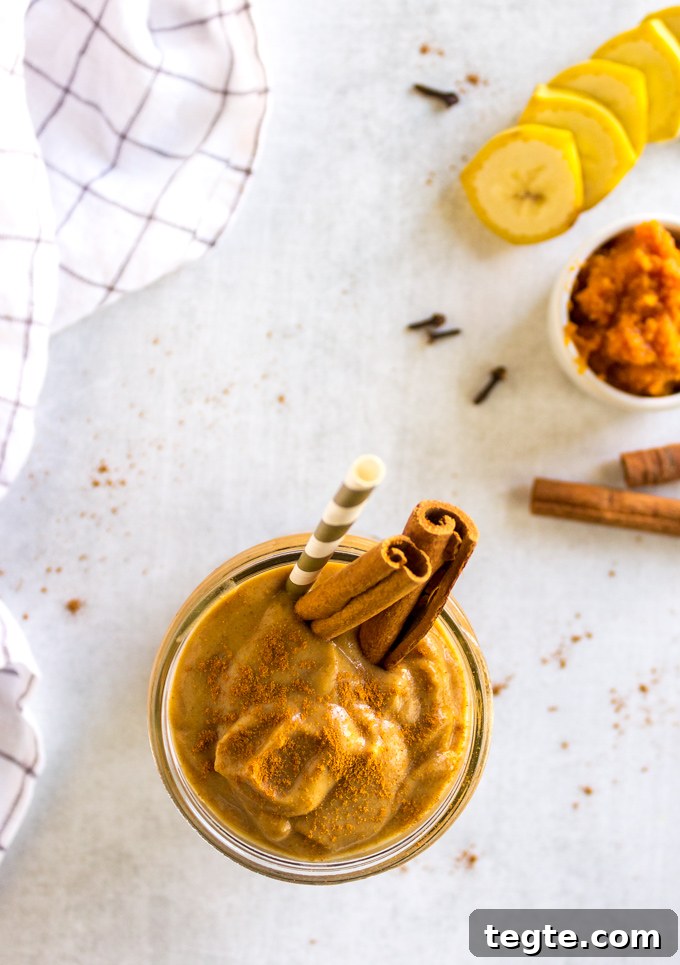 Date-Sweetened Pumpkin Smoothie Recipe for Fall Flavors 5 Pumpkin smoothie - thick and creamy