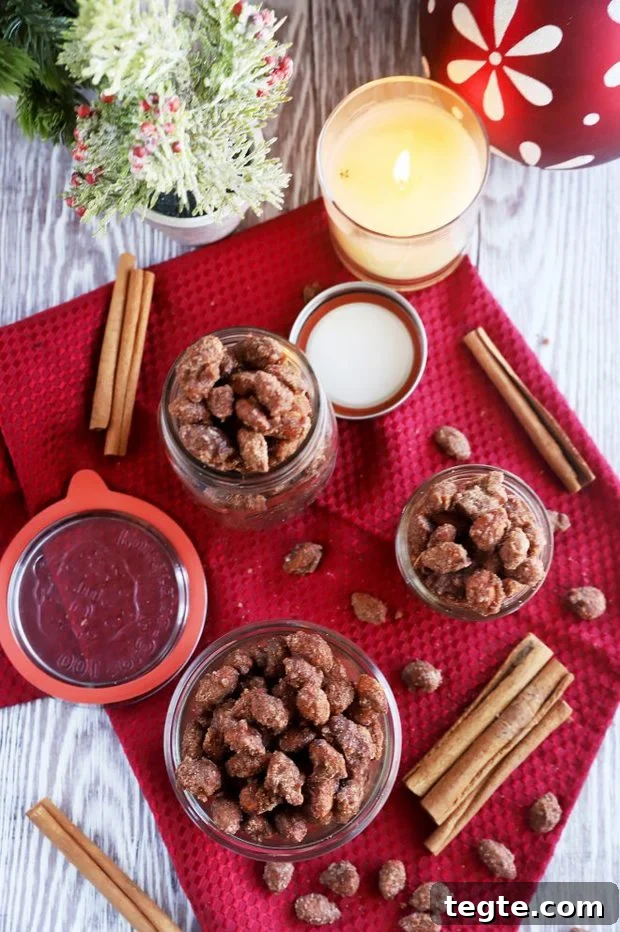 Slow-Cooker Cinnamon Almonds: Sweet Spiced Snack Recipe 4 Overhead image of crockpot cinnamon almonds