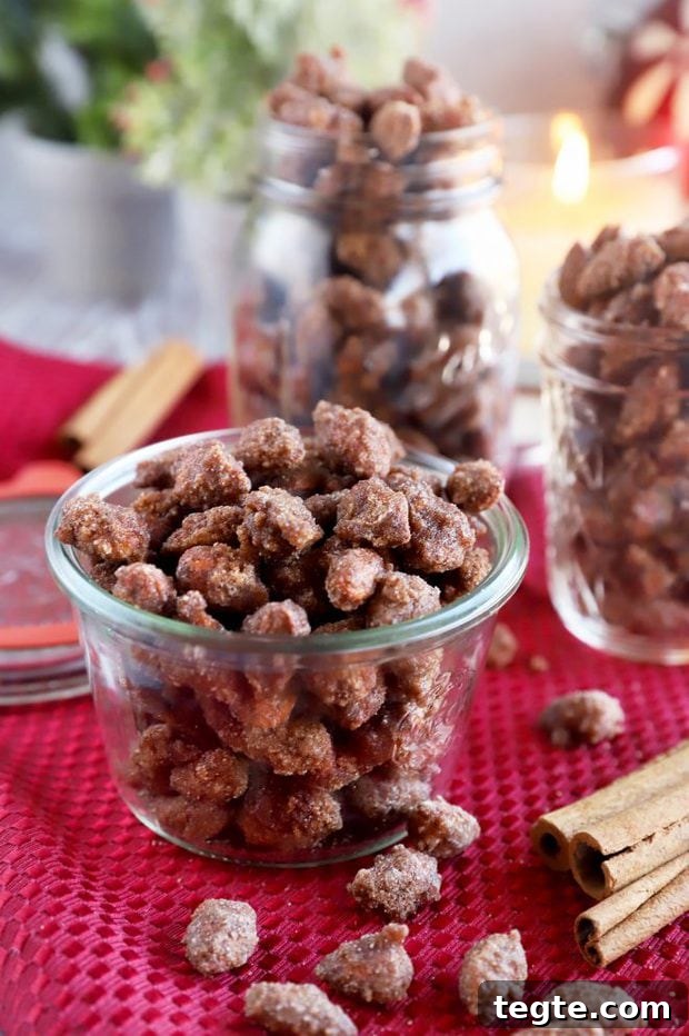 Slow-Cooker Cinnamon Almonds: Sweet Spiced Snack Recipe 5 christmas cinnamon almonds image
