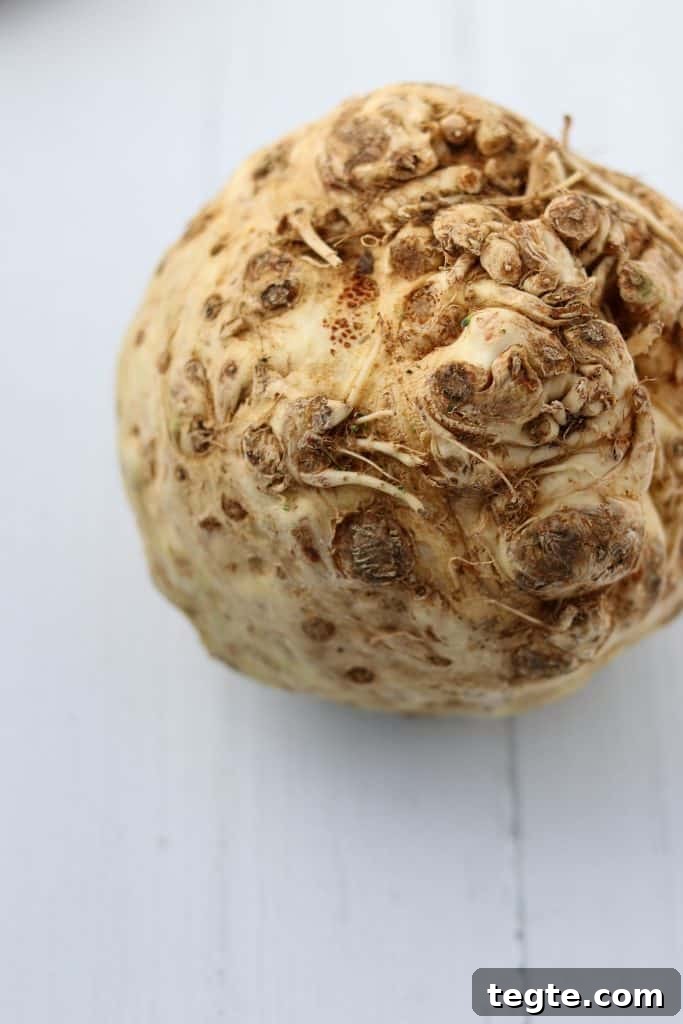 A close up of a celery root