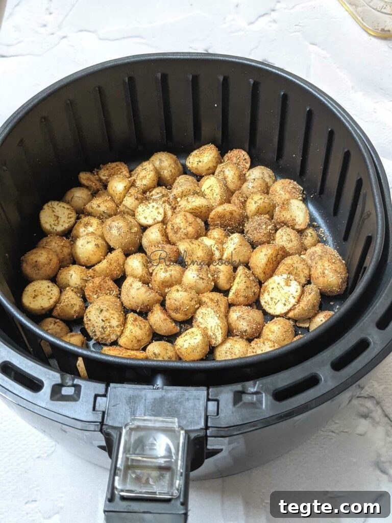 Coated baby poatoes in air fryer basket 