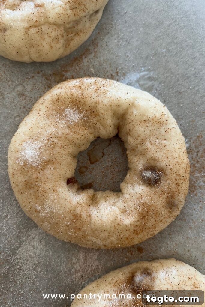 Cinnamon Raisin Sourdough Bagel Recipe: Soft, Tangy & Sweet 4 img 14048 3