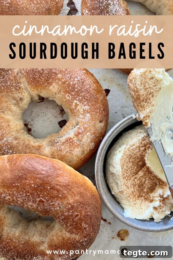 Cinnamon Raisin Sourdough Bagel Recipe: Soft, Tangy & Sweet 5 CINNAMON RAISIN SOURDOUGH BAGELS - PINTEREST IMAGE
