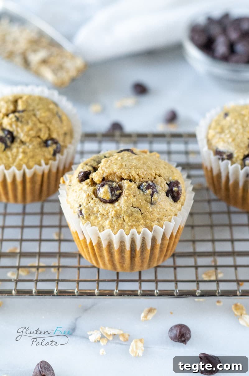 Chocolate Chip Oat Flour Muffins — Gluten-Friendly Recipe 6 oat flour muffins on a cooling rack
