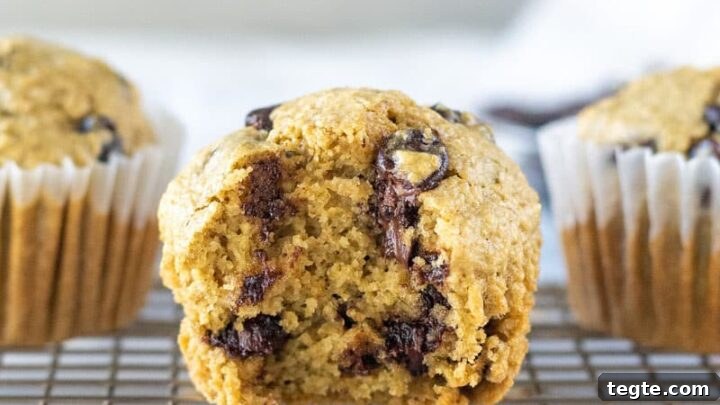 oat flour muffins with one with a bite out showing the texture