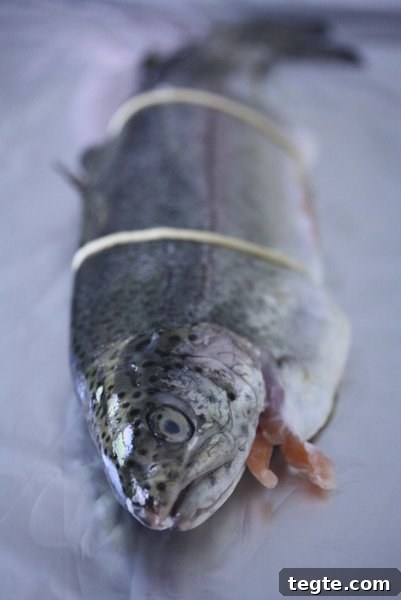IMG_0045 img 1522 1