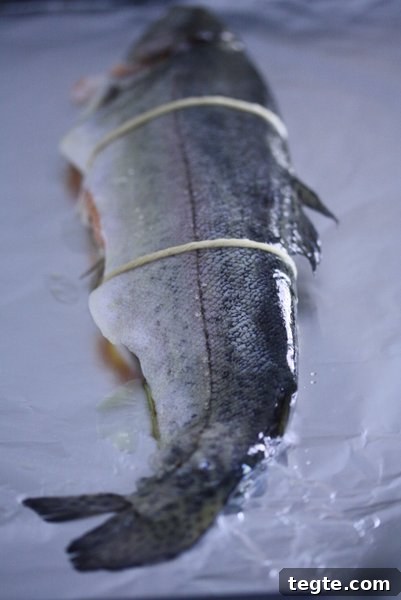 IMG_0047 img 1522 8