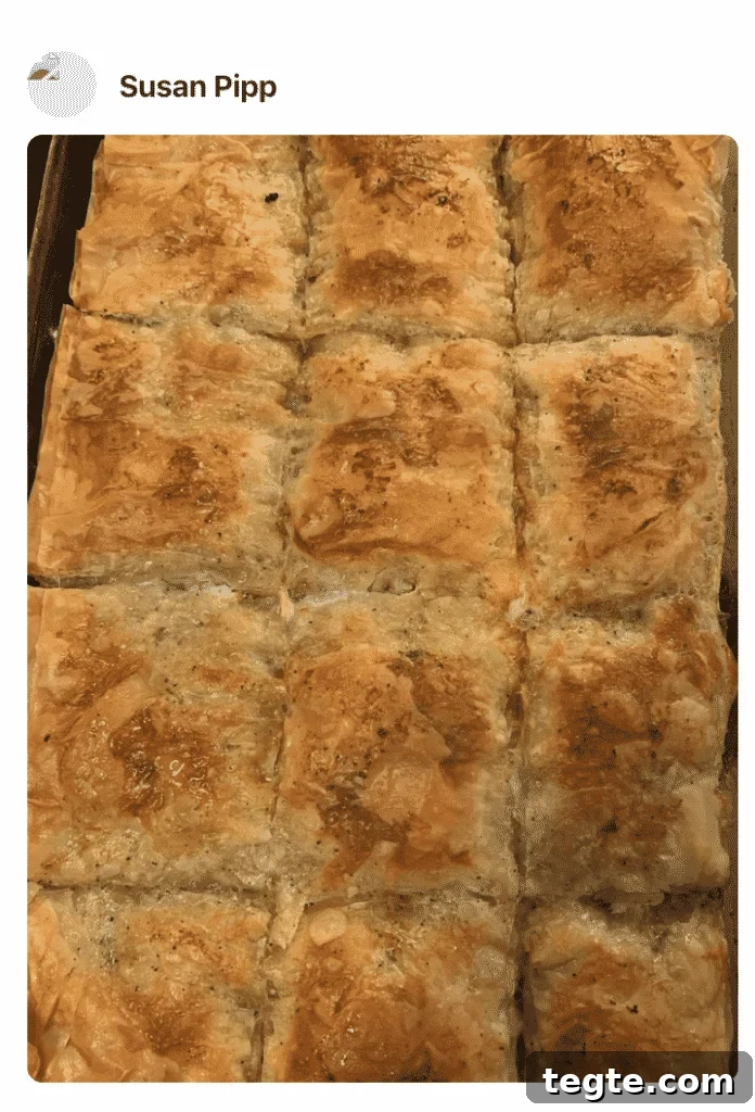 Egyptian Phyllo Meat Pie (Goulash) Recipe 10 A phyllo pie in a pan, photo by a fan
