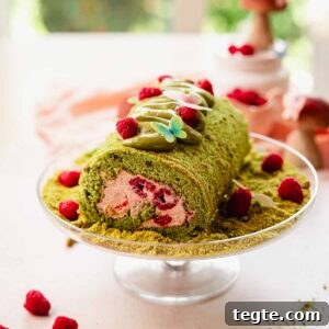 Raspberry and Pistachio Cake Roll Recipe for Spring Gatherings 20 raspberry pistachio cake roll on cake plate with ground pistachios