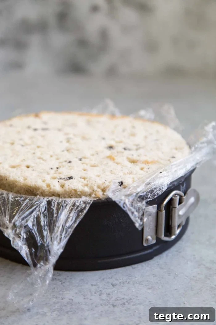 Cookies and Cream Ice Cream Cake Recipe for Rich, No-Bake Dessert 6 Assembled cookies and cream ice cream cake inside springform pan.