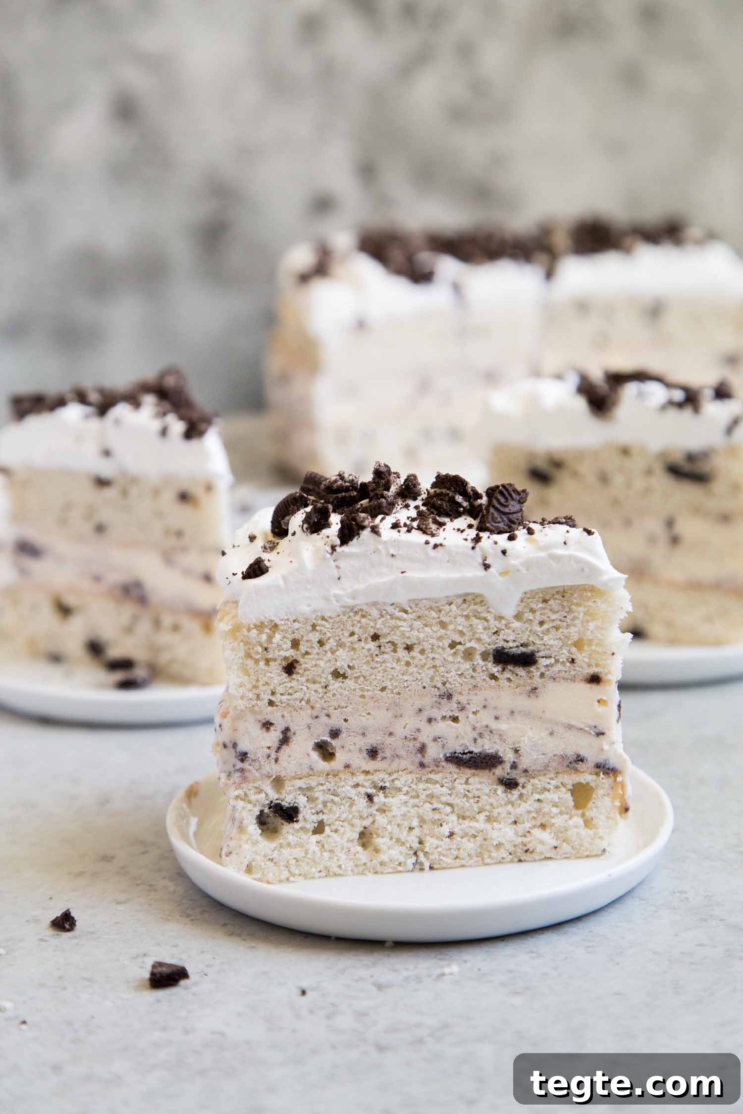 Cookies and Cream Ice Cream Cake Recipe for Rich, No-Bake Dessert 8 Cookies and Cream Ice Cream Cake