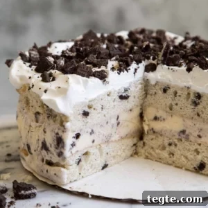 Cookies and Cream Ice Cream Cake Recipe for Rich, No-Bake Dessert 9 Cookies and Cream Ice Cream Cake