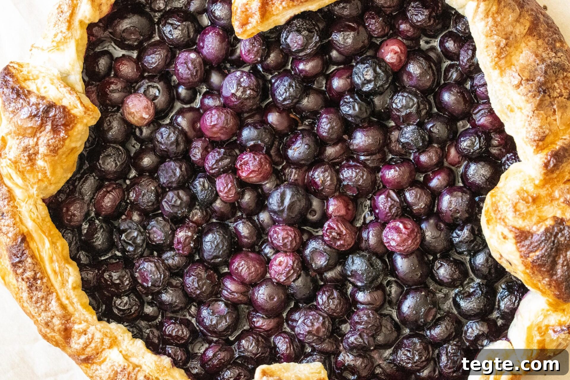 Summer Blueberry Galette: Rustic Dessert with Fresh Berries 2 Blueberry Galette