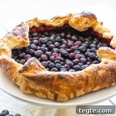 Summer Blueberry Galette: Rustic Dessert with Fresh Berries 4 Blueberry Galette