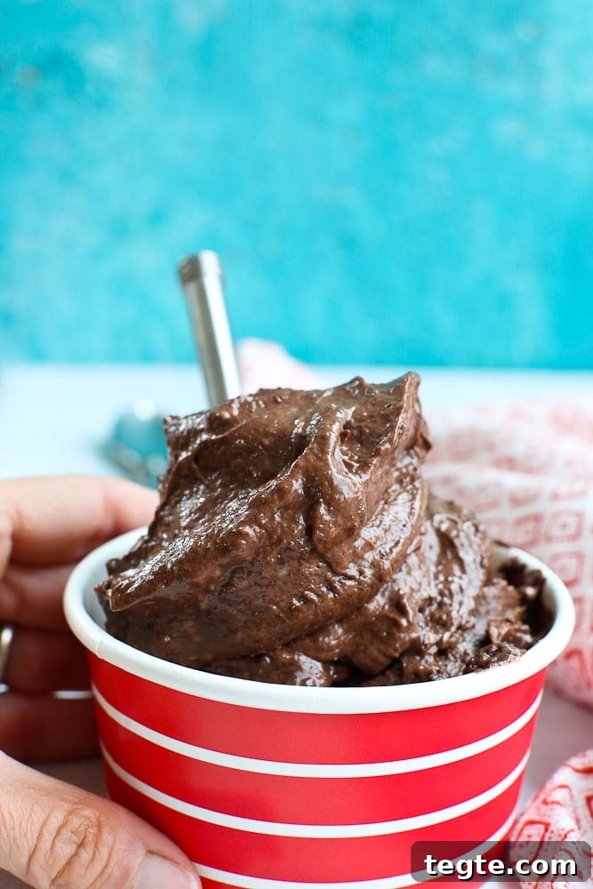 Chocolate Peanut Butter Nice Cream Recipe — Dairy-Free Frozen Dessert 2 Chocolate Peanut Butter Nice Cream