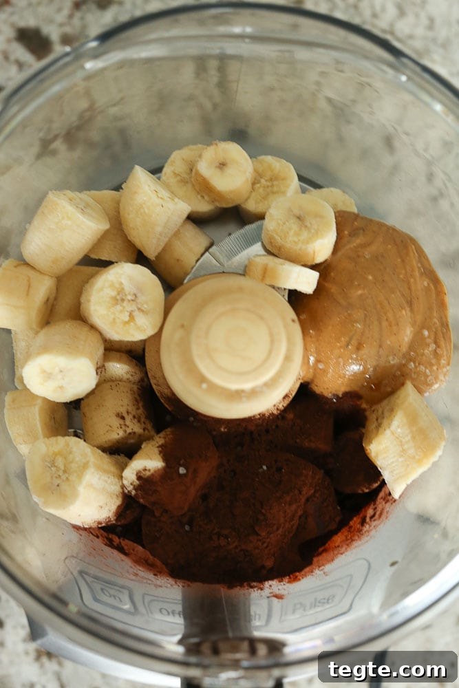 Chocolate Peanut Butter Nice Cream Recipe — Dairy-Free Frozen Dessert 3 late Peanut Butter Nice Cream ingredients in food processor