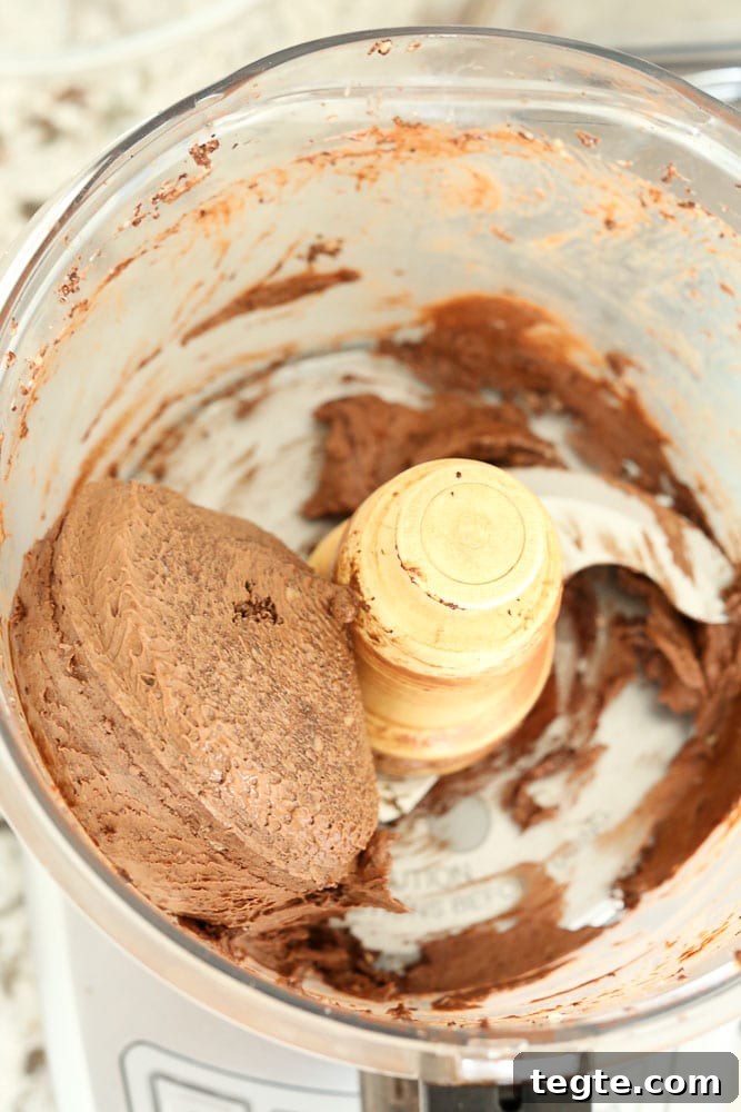 Chocolate Peanut Butter Nice Cream Recipe — Dairy-Free Frozen Dessert 5 Chocolate Peanut Butter Nice Cream after processing