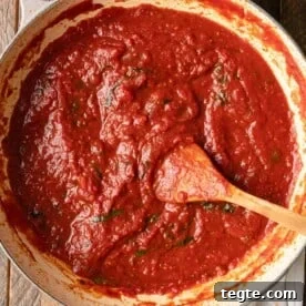 Homemade Marinara Sauce for Spaghetti (Meatless) 9 img 19406 8
