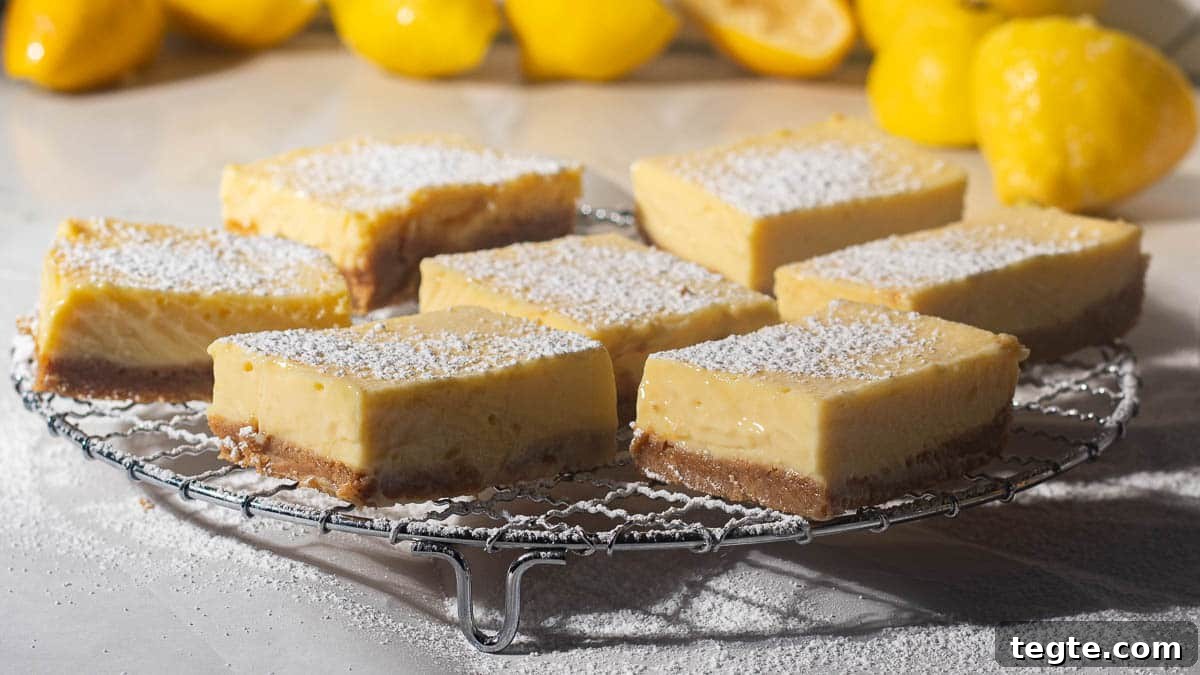 A side view of lemon bars with graham cracker crusts on a wire rack, showcasing their creamy texture and powdered sugar topping, surrounded by fresh lemons.