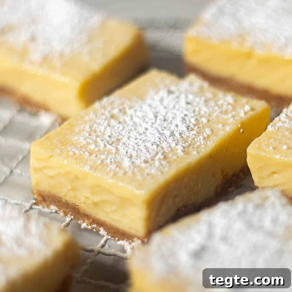 Close-up of a lemon bar with a graham cracker crust dusted with powdered sugar, highlighting the smooth lemon filling and crumbly crust texture.