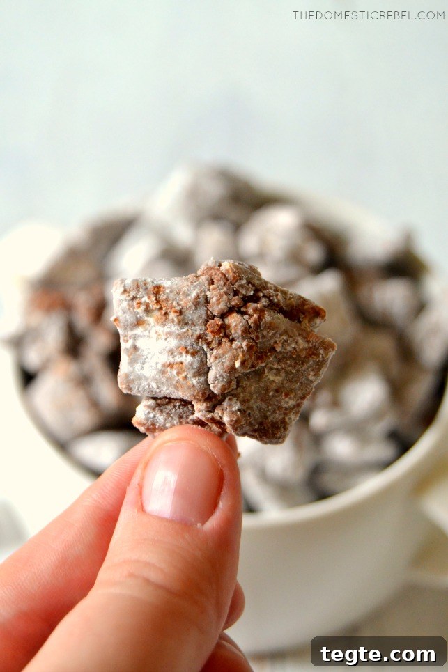 Ultimate Muddy Buddies Recipe — Perfect Chocolate-Peanut Rice Cereal Snack 4 Author holding a cluster of muddy buddies
