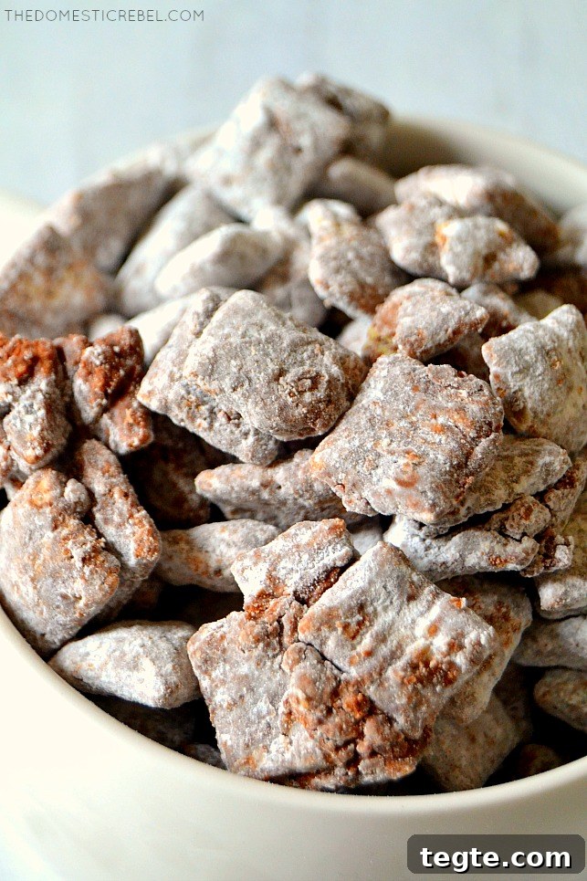 Ultimate Muddy Buddies Recipe — Perfect Chocolate-Peanut Rice Cereal Snack 5 Closeup cluster of muddy buddies