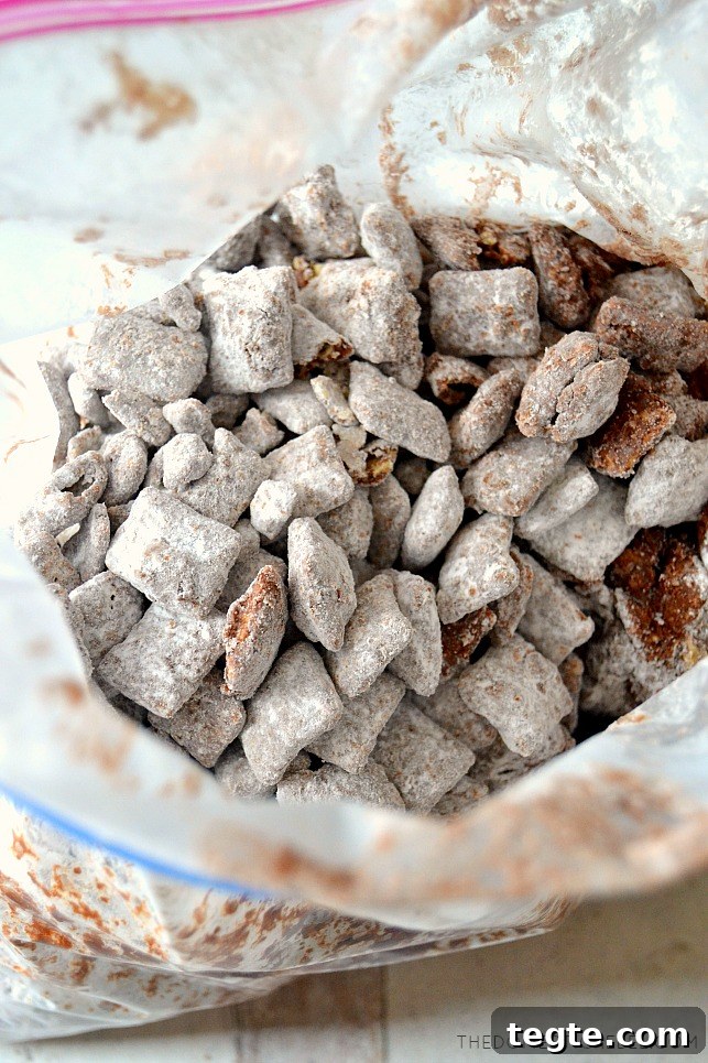 Closeup bag of muddy buddies