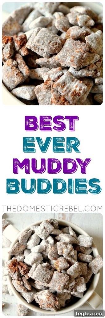 Ultimate Muddy Buddies Recipe — Perfect Chocolate-Peanut Rice Cereal Snack 9 Best Ever Muddy Buddies photo collage