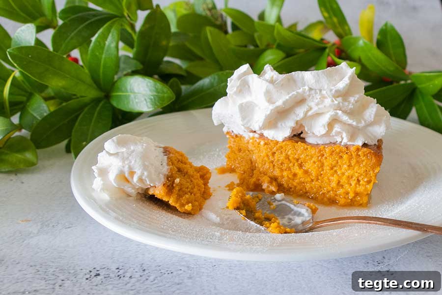30 Gluten-Free Easter Desserts Your Guests Will Crave 23 sweet potato pie with whipped cream on a plate