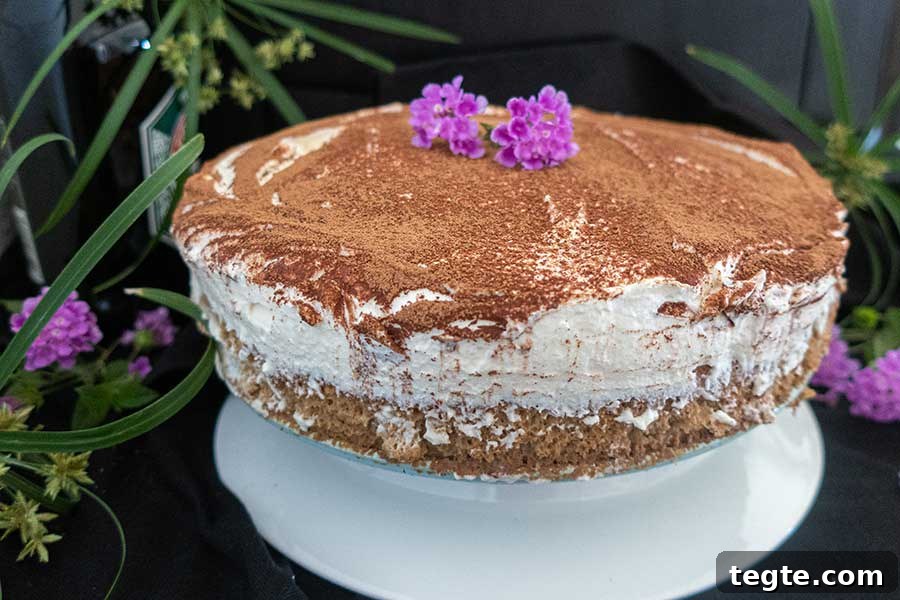 30 Gluten-Free Easter Desserts Your Guests Will Crave 30 irish tiramisu cake dusted with cocoa on a cake platter