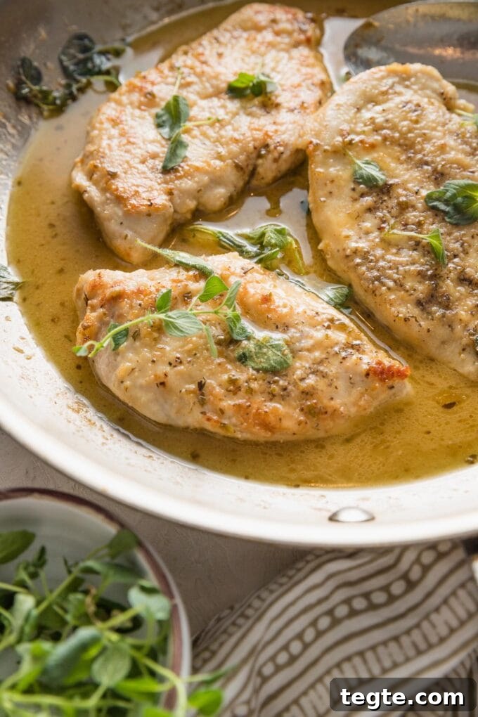 Oregano Roasted Chicken with Lemon and Garlic 2 45 degree angle view of a tender pan-fried chicken breast resting in a skillet filled with a light white wine sauce and fresh oregano.