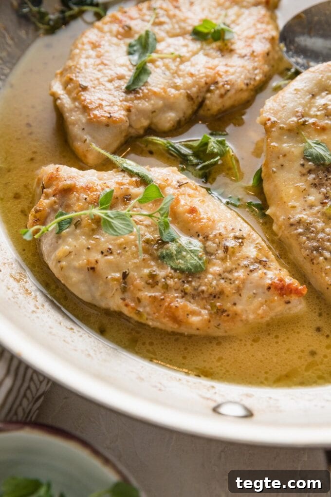 Oregano Roasted Chicken with Lemon and Garlic 5 Close up of a pan-fried chicken breast seasoned with white wine sauce and oregano.