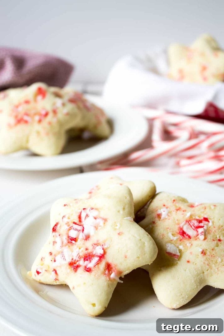 plate with star-shaped sugar cookies with crushed peppermint