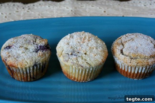 Lemon Blueberry Muffins (Gluten-Free) 3 Gluten-free Blueberry Muffins with a hint of lemon