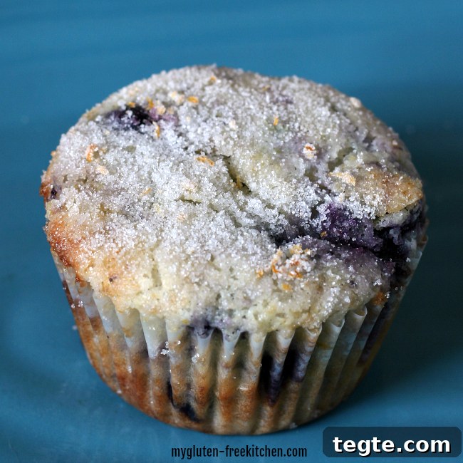 Lemon Blueberry Muffins (Gluten-Free) 4 Gf blueberry muffins with lemon zest