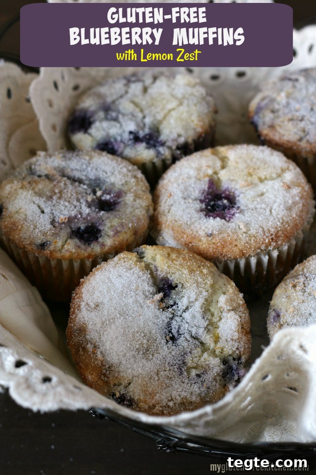 Lemon Blueberry Muffins (Gluten-Free) 7 Gluten-free Blueberry Muffins with Lemon Zest Recipe