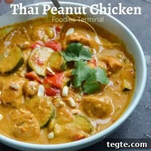 Instant Pot Thai Peanut Chicken Recipe That Melts in Minutes 12 Thai Peanut butter chicken curry in a light blue plate with a spoon & garnished with cilantro & roasted peanuts