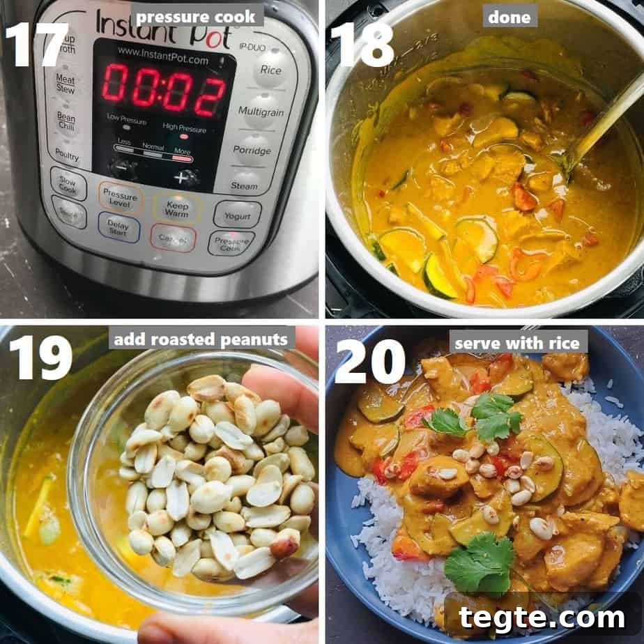 Instant Pot Thai Peanut Chicken Recipe That Melts in Minutes 9 pressure cooking thai peanut chicken & served it over jasmine rice on a grey plate