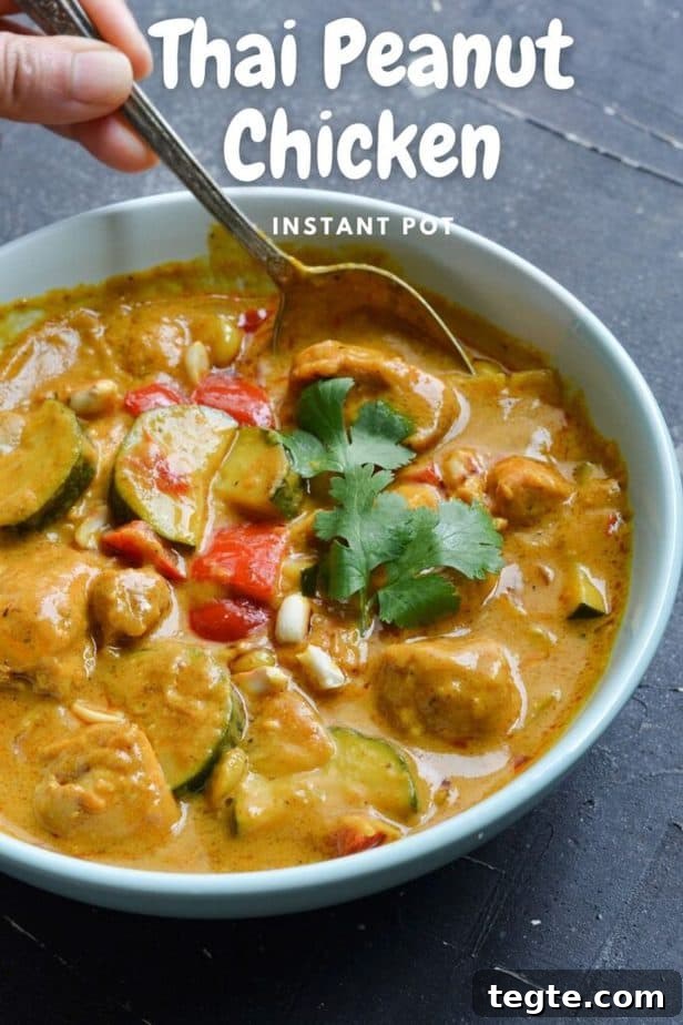 Instant Pot Thai Peanut Chicken Recipe That Melts in Minutes 10 spicy thai peanut butter chicken instant pot in a light blue bowl with a silver spoon