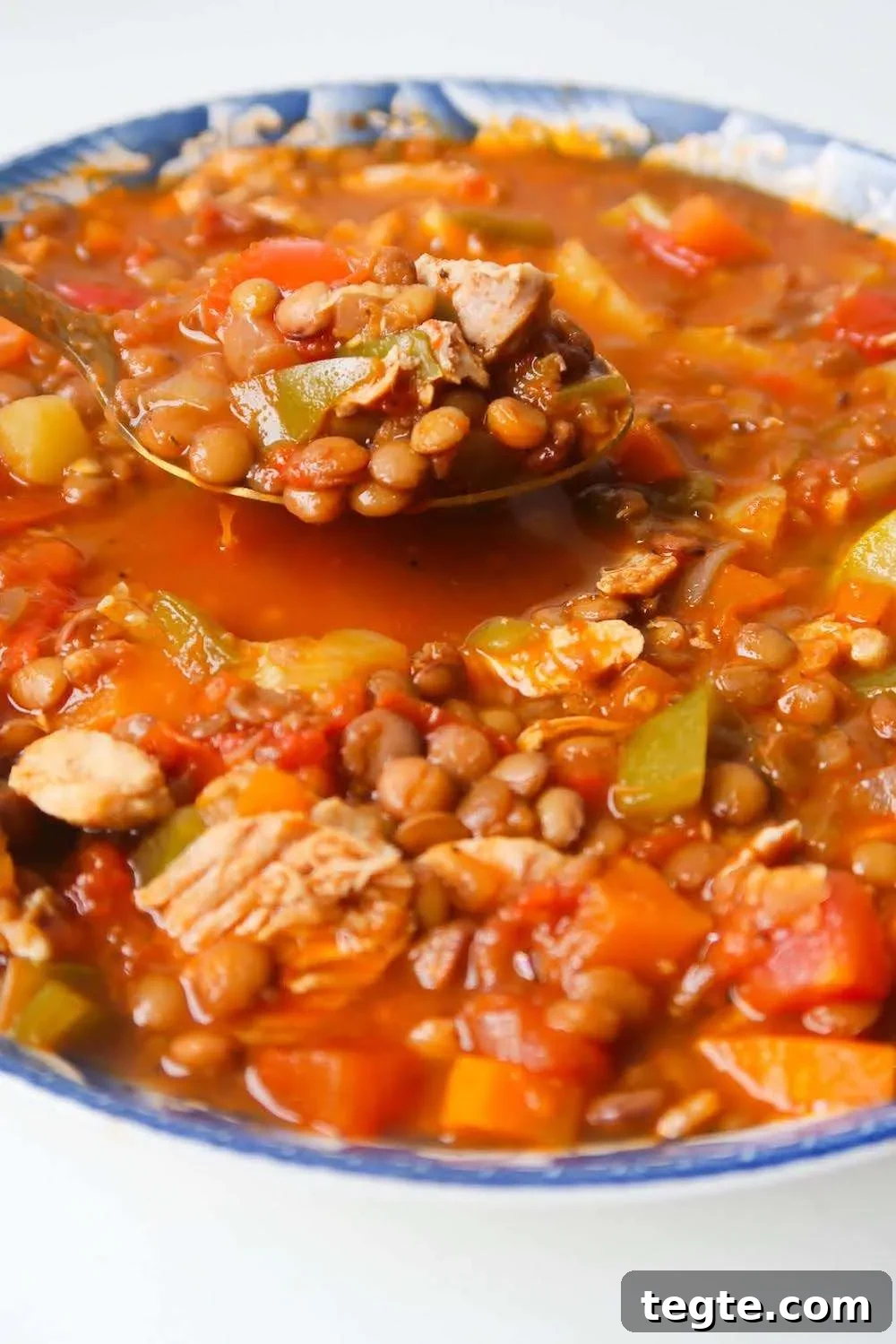 A serving of lentil chicken soup, ready to enjoy.