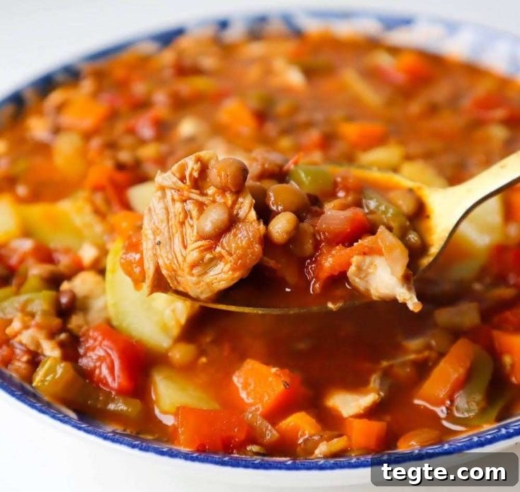 Made with chicken thighs, lentils and vegetables, this lentil chicken soup is hearty and healthy.